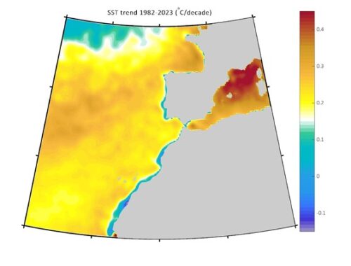 Tendencia de la temperatura superficial del mar con referencia a la tendencia global (0.15 °C/década) marcada en color blanco.