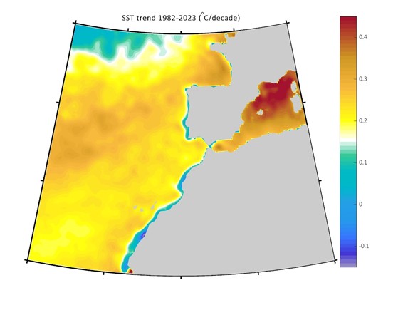 Tendencia de la temperatura superficial del mar con referencia a la tendencia global (0.15 °C/década) marcada en color blanco.